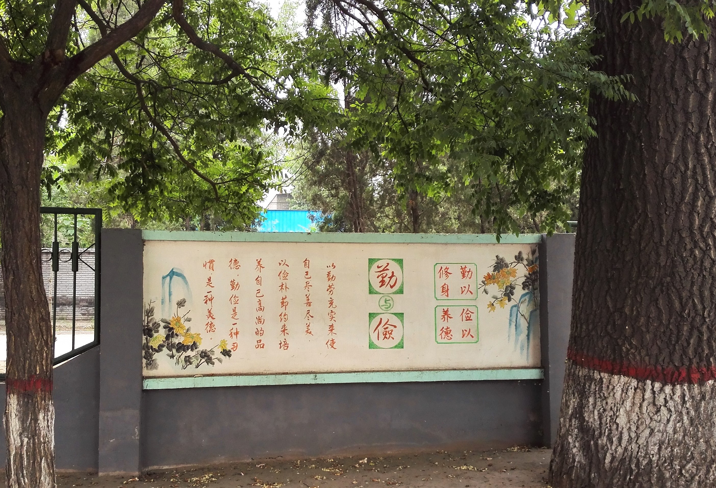 13.校園文化，根深葉茂.jpg